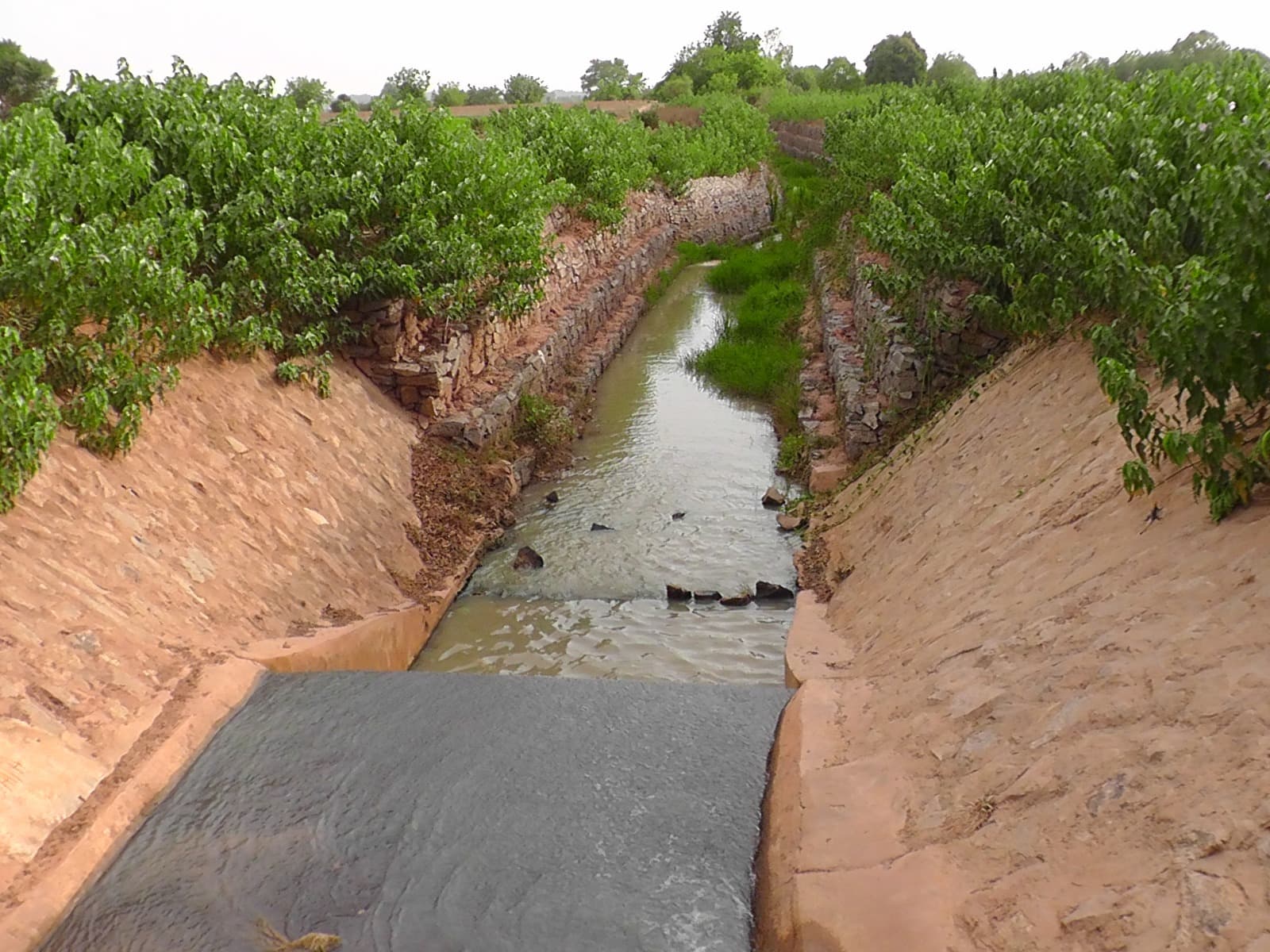 Irrigation infrastructure maintenance